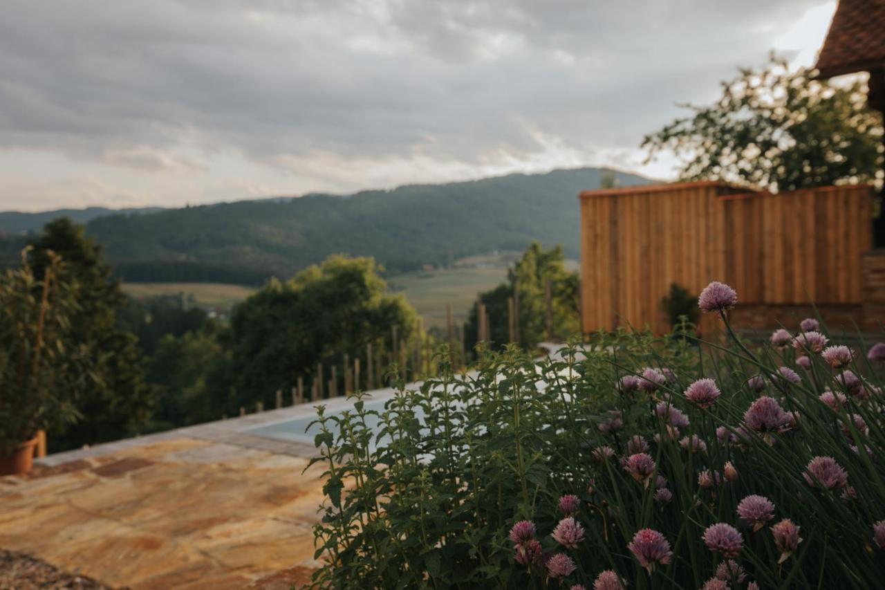 Am Wildbachberg - Luxus Ferienhaeuser Mit Infinitypool, Privatsauna Und Weinkeller Deutschlandsberg Bagian luar foto